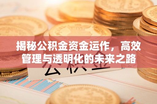 彭州揭秘公积金资金运作，高效管理与透明化的未来之路